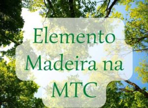 Elemento Madeira da MTC