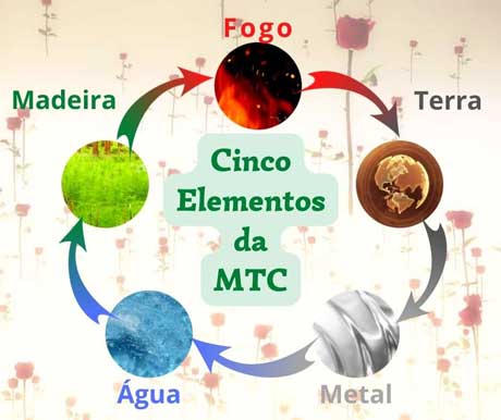 Cinco Elementos da MTC