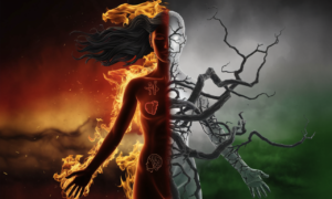 Energia Qi