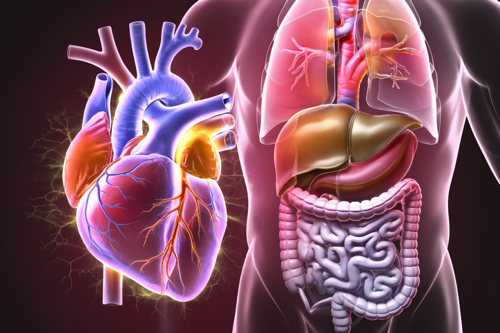 image-6-1024x683 Teoria Zang Fu