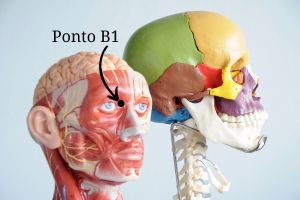 ponto-b1 Meridianos de Energia da MTC