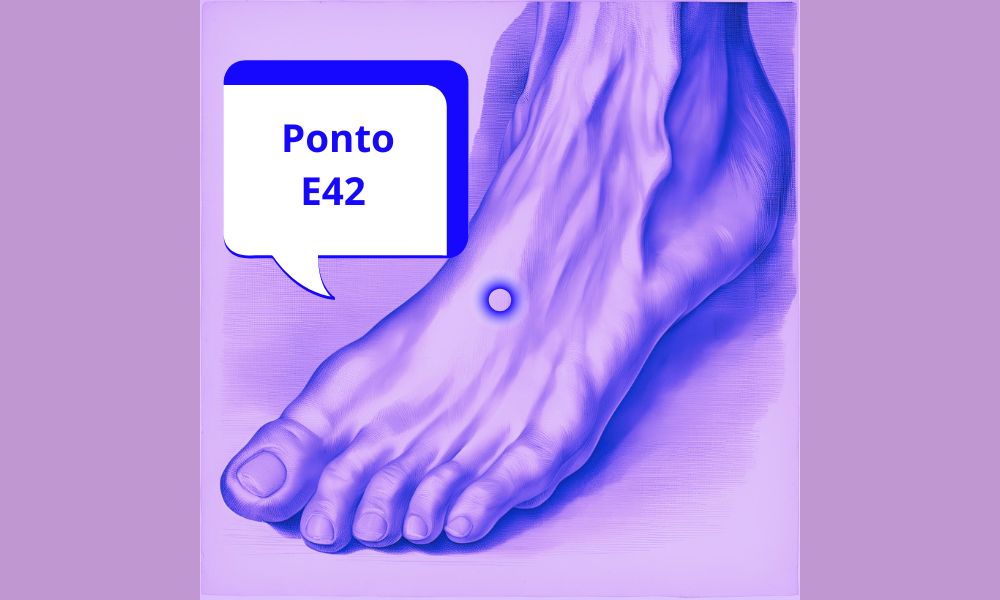 ponto-e42 Estômago - Wei