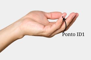 ponto-id1 Meridianos de Energia da MTC