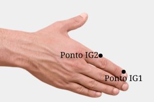 ponto-ig1-ig2 Meridianos de Energia da MTC