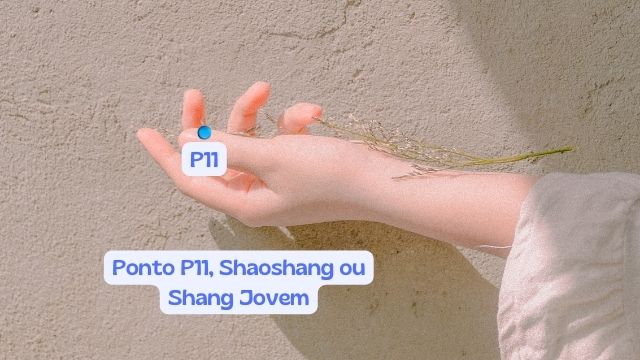 Pulmão ponto P11 Shaoshang