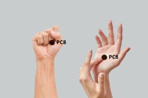 ponto-pc8-2 Meridianos de Energia da MTC